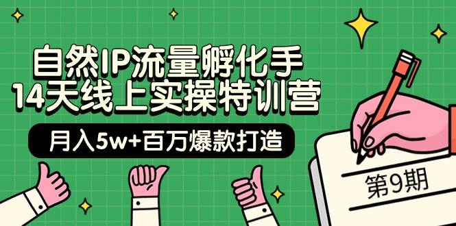 （9881期）自然IP流量孵化手·14天线上实操特训营【第9期】月入5w+百万爆款打造 (74节)⭐自然IP流量孵化手 14天线上实操特训营【第9期】月入5w+百万爆款打造 (74节)