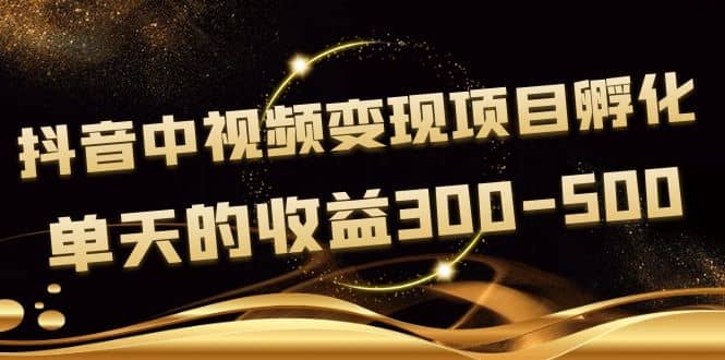 图片[1]-《抖音中视频变现项目孵化》单天的收益300-500 操作简单粗暴-网创特工