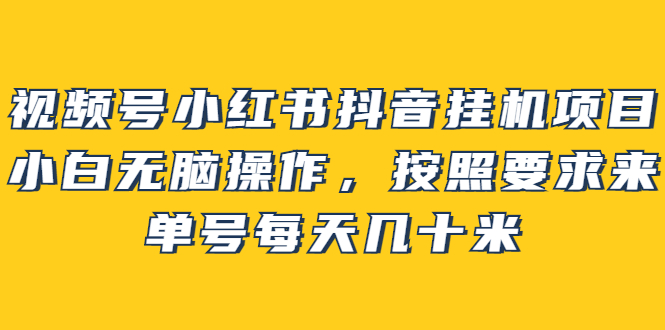 图片[1]-视频号小红书抖音挂机项目，小白无脑操作，按照要求来，单号每天几十米-网创特工