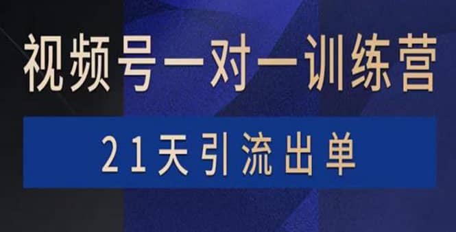 图片[1]-视频号训练营：带货，涨粉，直播，游戏，四大变现新方向，21天引流出单-网创特工