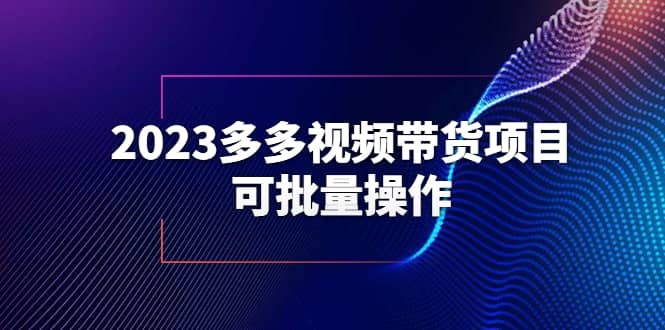 图片[1]-2023多多视频带货项目，可批量操作【保姆级教学】-网创特工