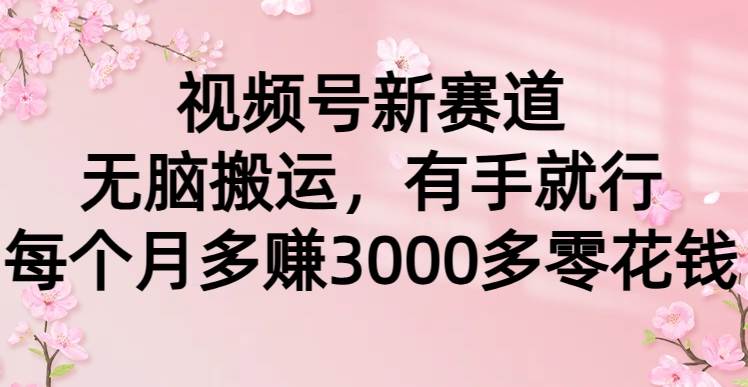 61.视频号新赛道，无脑搬运，有手就行，每个月多赚3000多零花钱