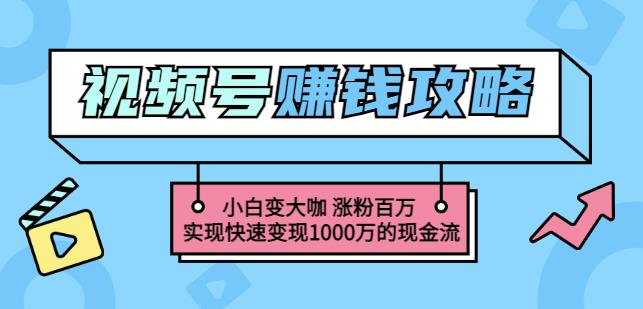 图片[1]-玩转微信视频号赚钱：小白变大咖涨粉百万实现快速变现1000万的现金流-网创特工