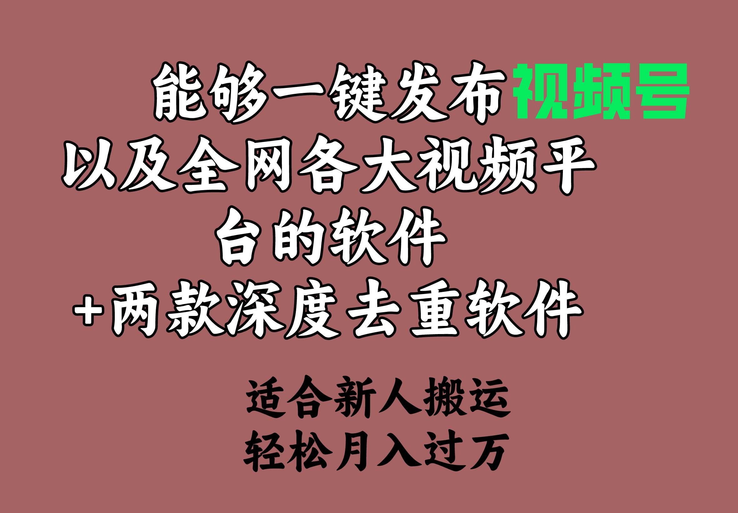 图片[1]-能够一键发布视频号以及全网各大视频平台的软件+两款深度去重软件 适合...-网创特工