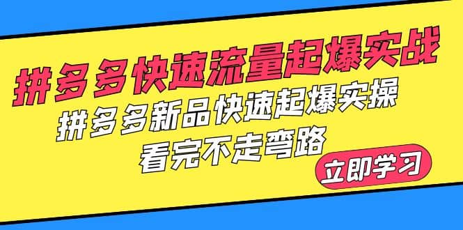 图片[1]-拼多多-快速流量起爆实战，拼多多新品快速起爆实操，看完不走弯路-网创特工