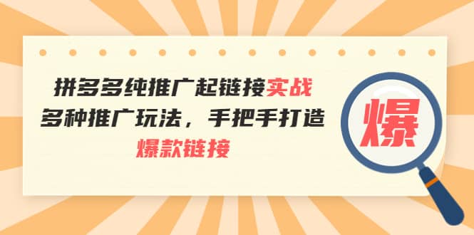 图片[1]-拼多多纯推广起链接实战：多种推广玩法，手把手打造爆款链接-网创特工