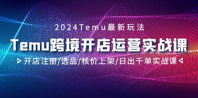 图片[1]-2024Temu跨境开店运营实战课，开店注册/选品/核价上架/日出千单实战课-网创特工