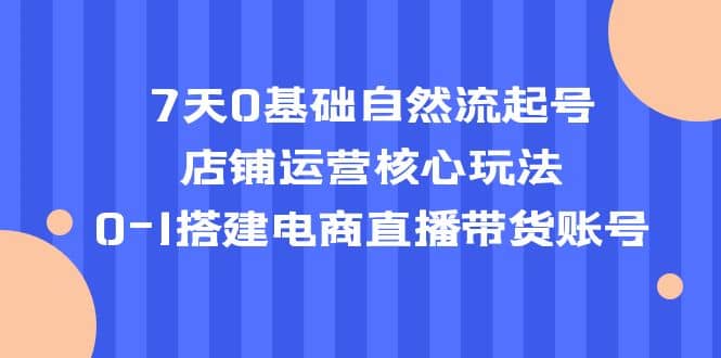 图片[1]-7天0基础自然流起号，店铺运营核心玩法，0-1搭建电商直播带货账号-网创特工