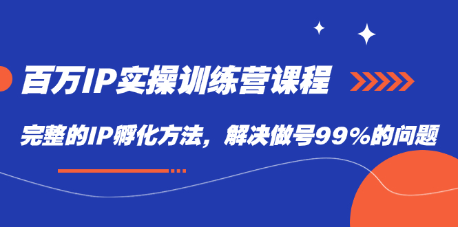 图片[1]-百万IP实战训练营课程，完整的IP孵化方法，解决做号99%的问题-网创特工