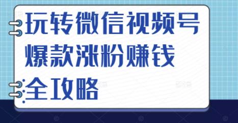 图片[1]-玩转微信视频号爆款涨粉赚钱全攻略，让你快速抓住流量风口，收获红利财富-网创特工