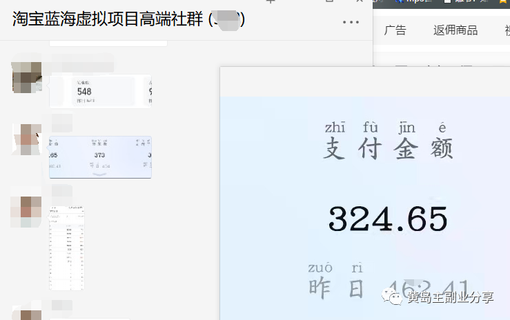 图片[3]-：淘宝蓝海虚拟项目陪跑训练营5.0：单天478纯利润（无水印）-网创特工