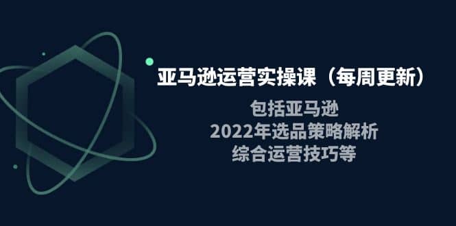 图片[1]-亚马逊运营实操课（每周更新）包括亚马逊2022选品策略解析，综合运营技巧等-网创特工