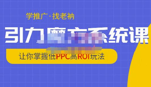 图片[1]-老衲·引力魔方系统课，让你掌握低PPC高ROI玩法，价值299元-网创特工