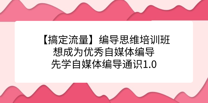 图片[1]-【搞定流量】编导思维培训班，想成为优秀自媒体编导先学自媒体编导通识1.0-网创特工