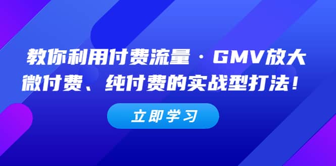 图片[1]-教你利用付费流量·GMV放大，微付费、纯付费的实战型打法-网创特工