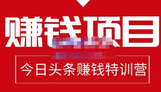 图片[1]-懒人领域·今日头条项目玩法，头条中视频项目，单号收益在50—500可批量-网创特工