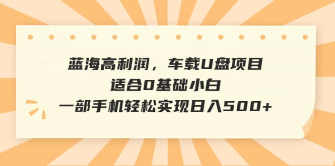 图片[1]-蓝海高利润，车载U盘项目，适合0基础小白，一部手机轻松实现日入500+-网创特工