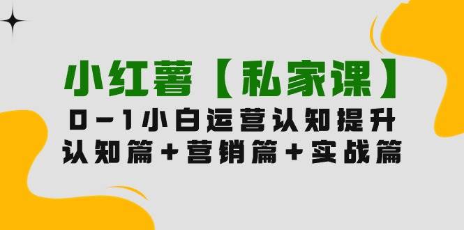 （9910期）小红薯【私家课】0-1玩赚小红书内容营销，认知篇+营销篇+实战篇（11节课）