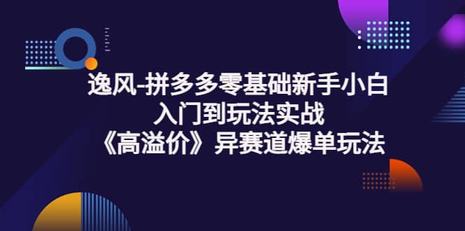 图片[1]-拼多多零基础新手小白入门到玩法实战《高溢价》异赛道爆单玩法实操课-网创特工