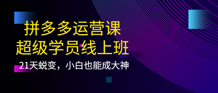 图片[1]-拼多多运营课：超级学员线上班，21天蜕变，小白也能成大神-网创特工