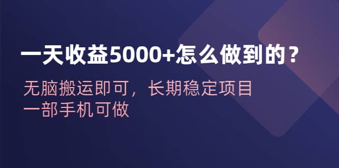 图片[1]-一天收益5000+怎么做到的？无脑搬运即可，长期稳定项目，一部手机可做-网创特工