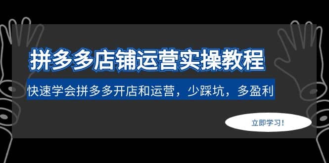 图片[1]-拼多多店铺运营实操教程：快速学会拼多多开店和运营，少踩坑，多盈利-网创特工