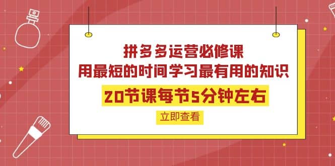 图片[1]-拼多多运营必修课：20节课每节5分钟左右，用最短的时间学习最有用的知识-网创特工