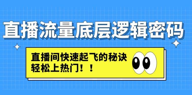 图片[1]-直播流量底层逻辑密码：直播间快速起飞的秘诀，轻松上热门-网创特工