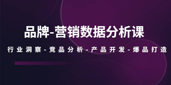 图片[1]-品牌-营销数据分析课，行业洞察-竞品分析-产品开发-爆品打造-网创特工