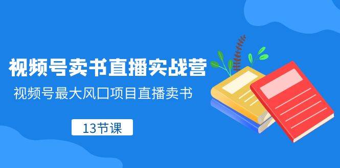 （8080期）视频号-卖书直播实战营，视频号最大风囗项目直播卖书（13节课）