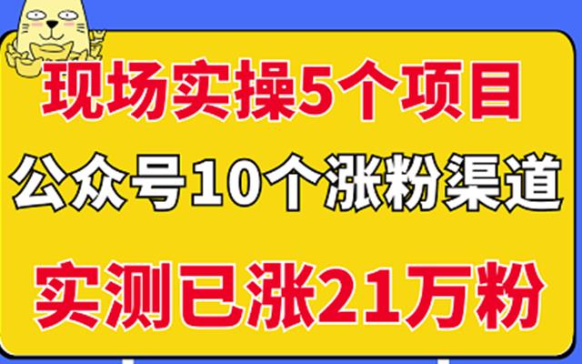 图片[1]-现场实操5个公众号项目，10个涨粉渠道，实测已涨21万粉！-网创特工