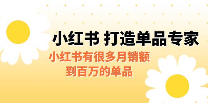 图片[1]-某公众号付费文章《小红书 打造单品专家》小红书有很多月销额到百万的单品-网创特工