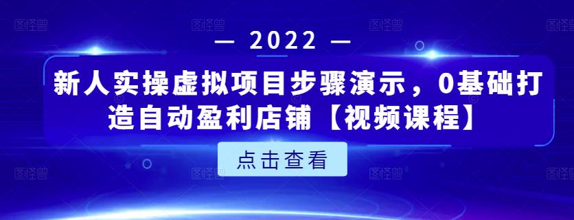 图片[1]-新人实操虚拟项目步骤演示，0基础打造自动盈利店铺【视频课程】-网创特工