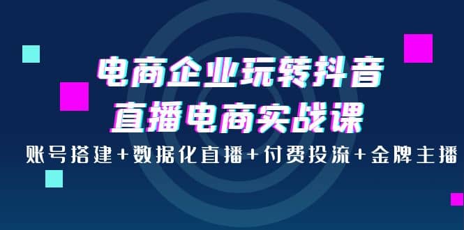 图片[1]-电商企业玩转抖音直播电商实战课：账号搭建+数据化直播+付费投流+金牌主播-网创特工