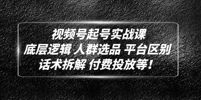 图片[1]-视频号起号实战课：底层逻辑 人群选品 平台区别 话术拆解 付费投放等-网创特工