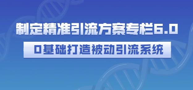 图片[1]-制定精准引流方案专栏6.0，0基础打造被动引流系统-网创特工