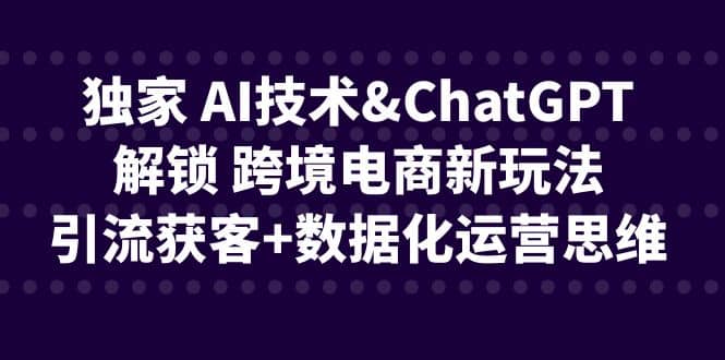 图片[1]-独家 AI技术ChatGPT解锁 跨境电商新玩法，引流获客+数据化运营思维-网创特工
