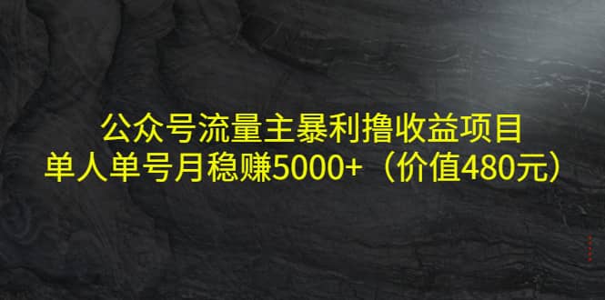 图片[1]-公众号流量主暴利撸收益项目，单人单号月稳赚5000+（价值480元）-网创特工