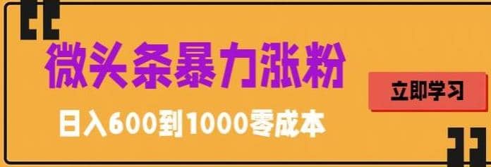 图片[1]-微头条暴力涨粉技巧搬运文案就能涨几万粉丝，简单0成本-网创特工