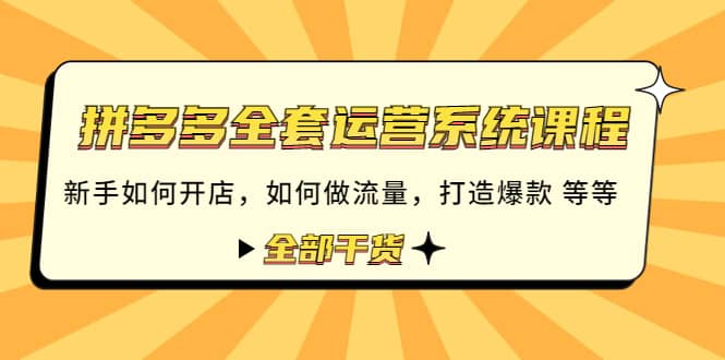 图片[1]-拼多多全套运营系统课程：新手如何开店 如何做流量 打造爆款 等等 全部干货-网创特工