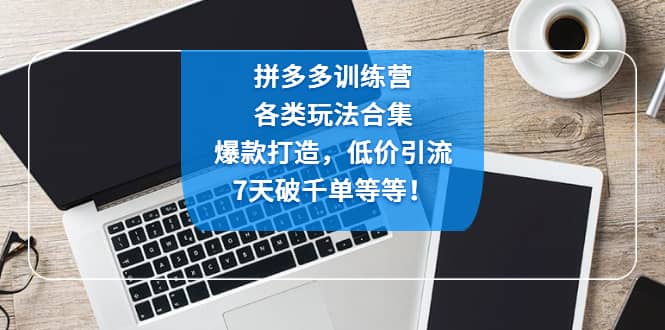 图片[1]-拼多多训练营：各玩法合集，爆款打造，低价引流，7天破千单等等-网创特工