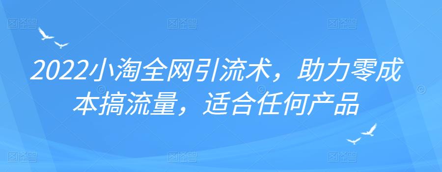 图片[1]-2022年小淘全网引流术，助力零成本搞流量，适合任何产品-网创特工