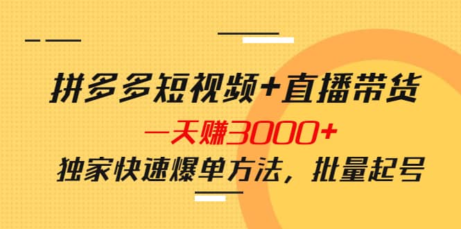 图片[1]-拼多多短视频+直播带货，一天赚3000+独家快速爆单方法，批量起号-网创特工