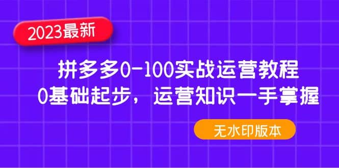 图片[1]-2023拼多多0-100实战运营教程，0基础起步，运营知识一手掌握（无水印）-网创特工