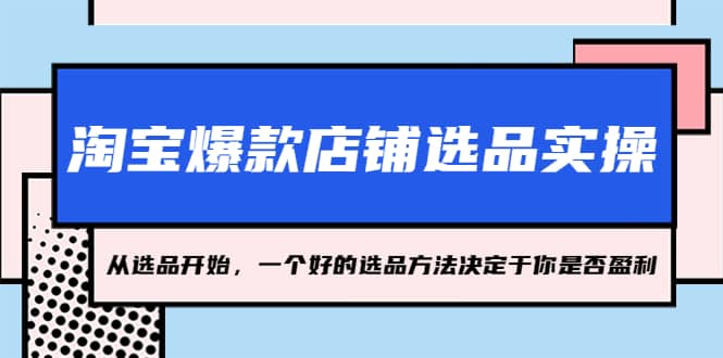 图片[1]-淘宝爆款店铺选品实操，2023从选品开始，一个好的选品方法决定于你是否盈利-网创特工