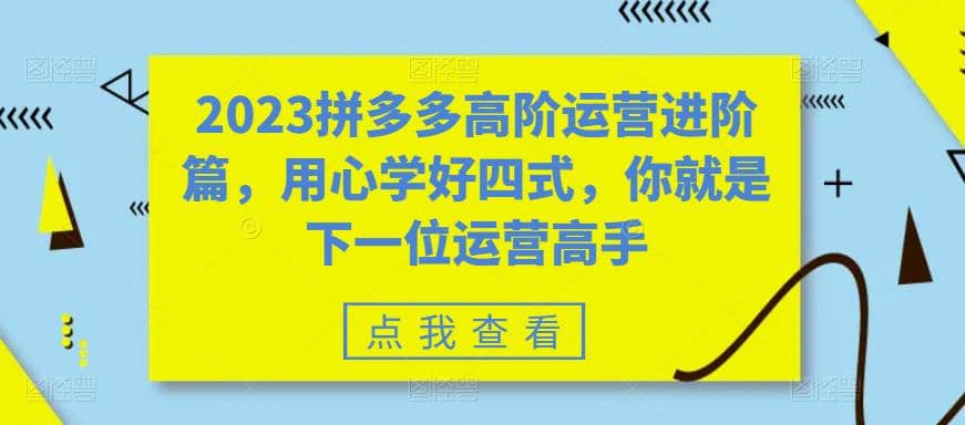 图片[1]-2023拼多多高阶运营进阶篇，用心学好四式，你就是下一位运营高手-网创特工