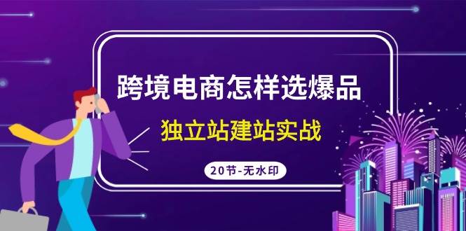 图片[1]-跨境电商怎样选爆品，独立站建站实战（20节高清无水印课）-网创特工