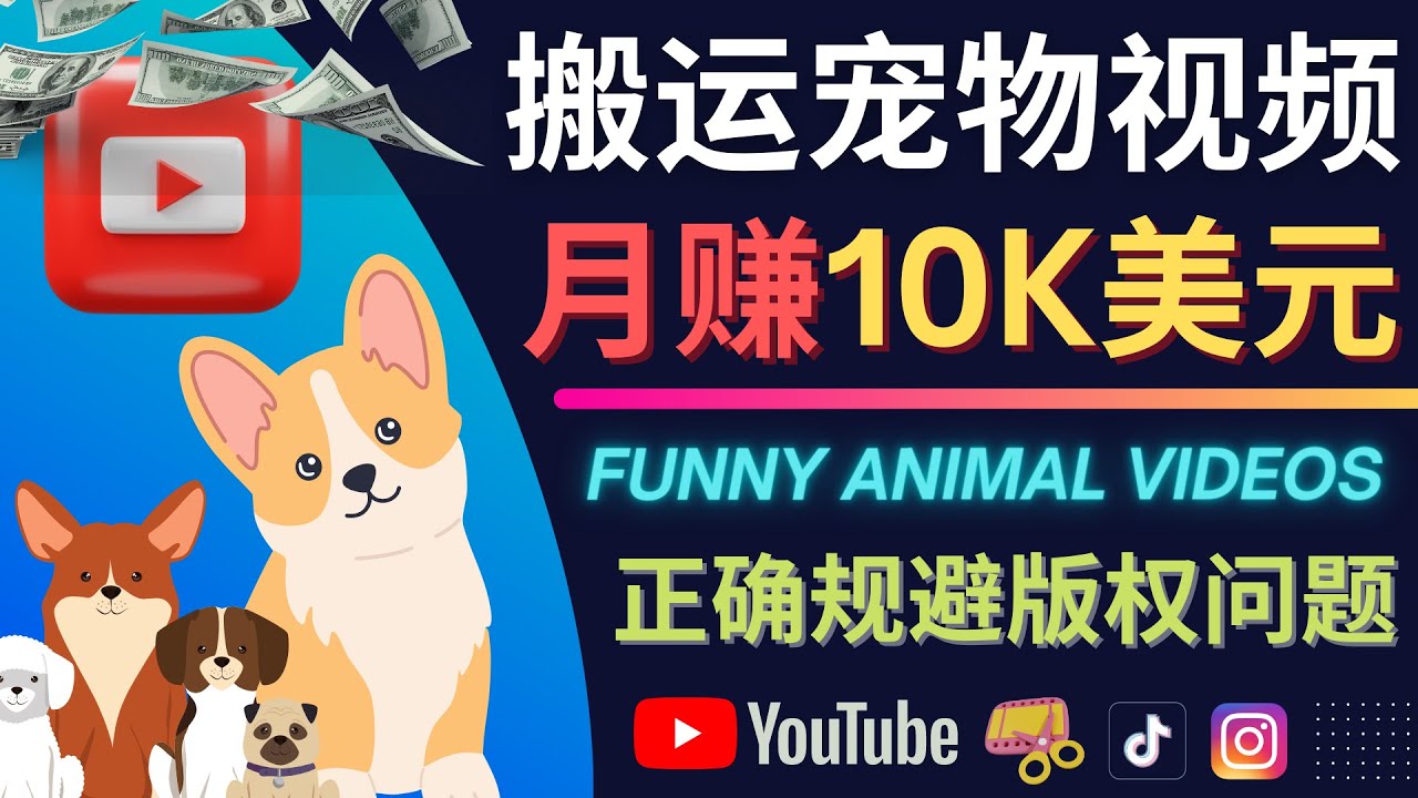 图片[1]-搬运TIKTOK视频到YouTube，并进行二次创作，月赚1万美元以上-网创特工