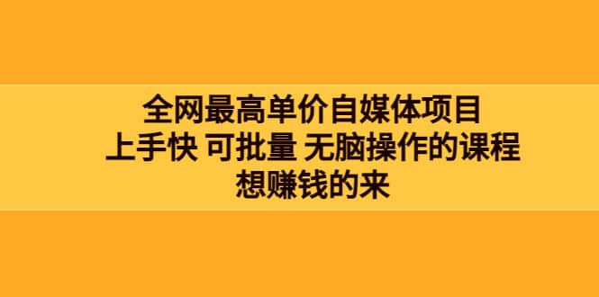 图片[1]-全网最单高价自媒体项目：上手快 可批量 无脑操作的课程，想赚钱的来-网创特工