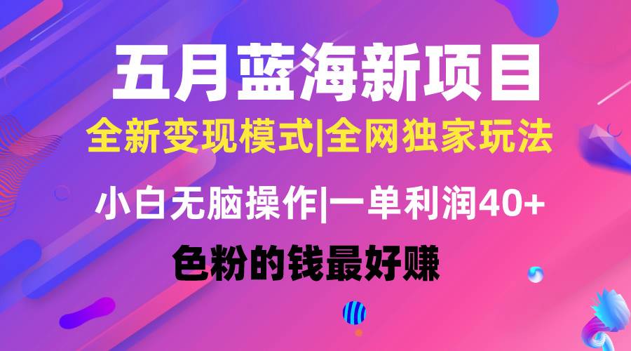 五月蓝海项目全新玩法，小白无脑操作，一天几分钟，矩阵操作，月入4万+